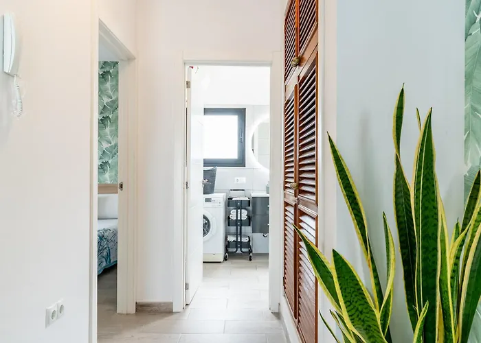 Modern And Comfortable - Center Puerto Apartment Puerto de la Cruz (Tenerife)