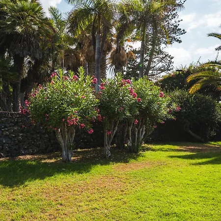 Modern And Comfortable - Center Puerto * بويرتو ذي لا كروز